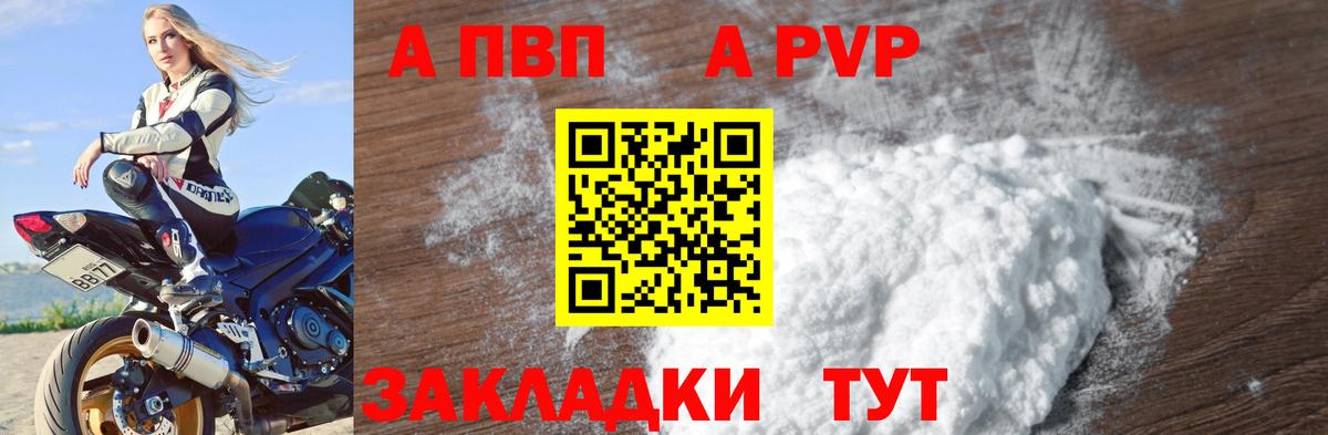 как найти наркотики  APVP СК КРИС  Губкин  APVP  Alpha-PVP СК  Альфа ПВП СК 