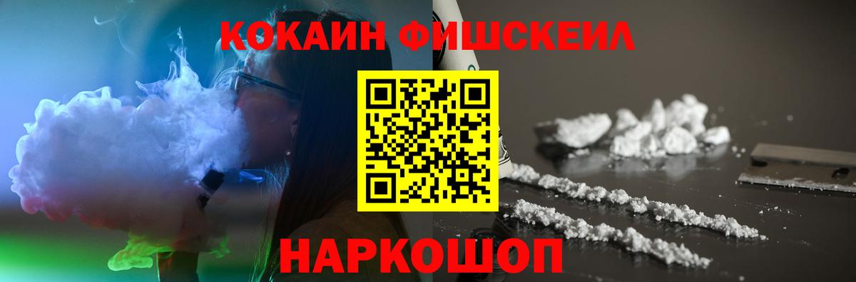 COCAIN Fish Scale Губкин