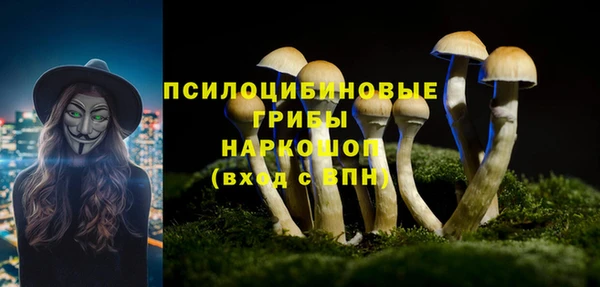 молекула духа Михайловск