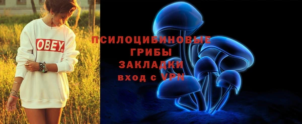 соль ск Михайлов