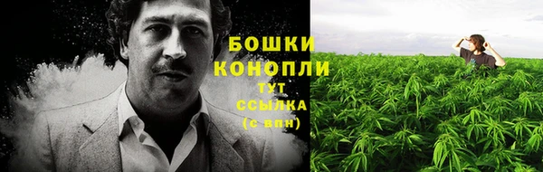 винт Белая Холуница