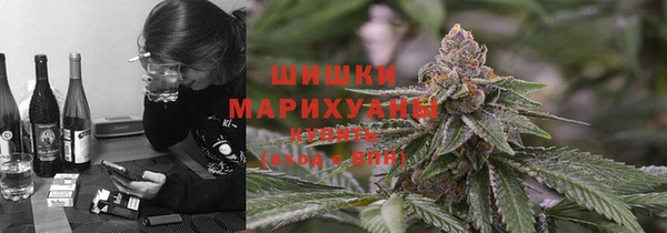 ГАЛЛЮЦИНОГЕННЫЕ ГРИБЫ Горнозаводск