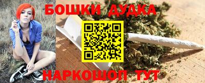 гидра Беслан