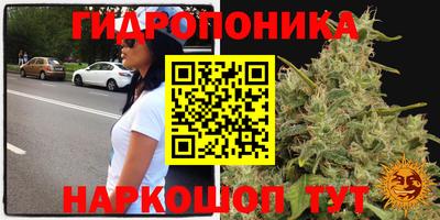 гидра Беслан