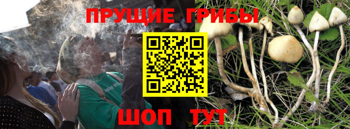 МЕФ   NBOMe  МЕТ  Губкин  Меф МЯУ МЯУ  ГАШ  Вход с VPN  Сколько стоит  Бошки Шишки  Кокаин  АМФ  