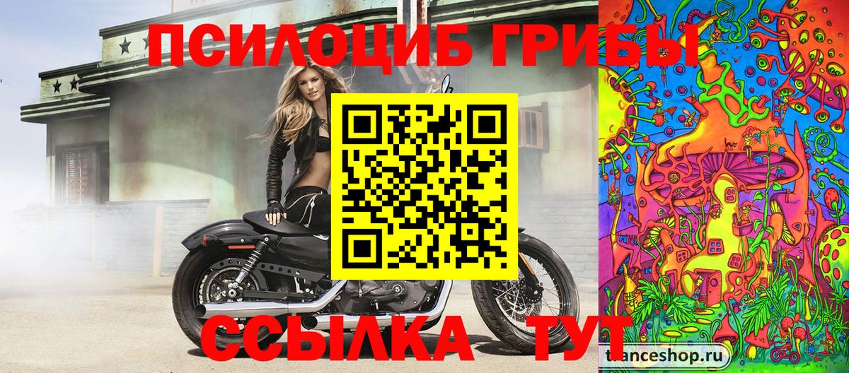 Псилоцибиновые грибы Psilocybine cubensis Губкин