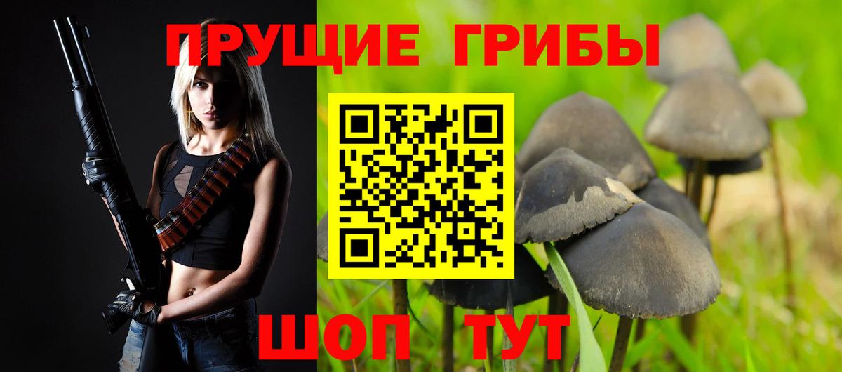 Альфа ПВП Губкин