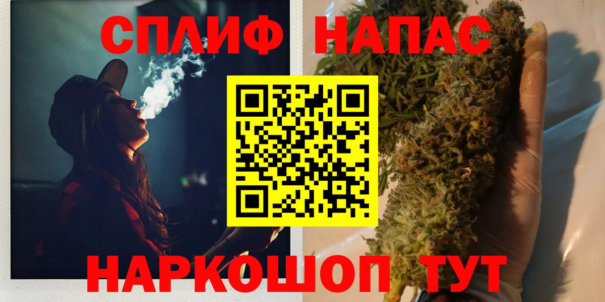 Каннабис сатива Губкин